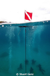 Open water class @ Sharks Cove, Oahu's North Shore. by Stuart Ganz 